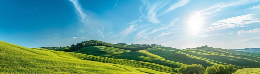 Fototapeta premium Sunny Hills with Lush Green Fields and Blue Sky