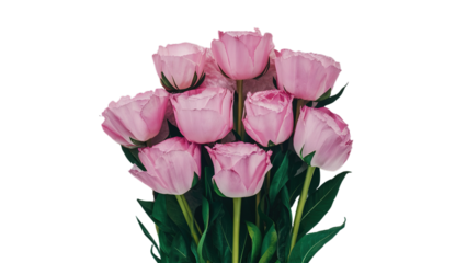 Happy Mother's day isolated on transparent background, Generative ai.