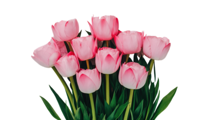 Happy Mother's day isolated on transparent background, Generative ai.