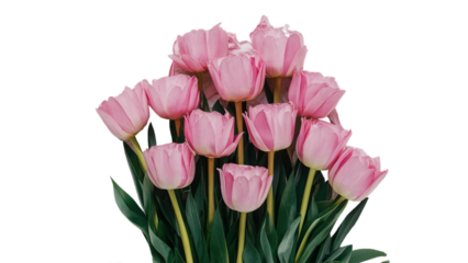 Happy Mother's day isolated on transparent background, Generative ai.