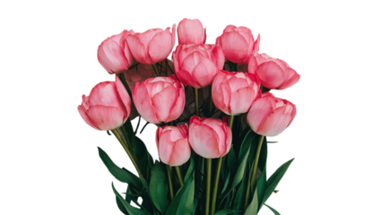 Happy Mother's day isolated on transparent background, Generative ai.