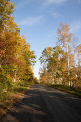 Obraz premium 黄葉の坂道と青空 