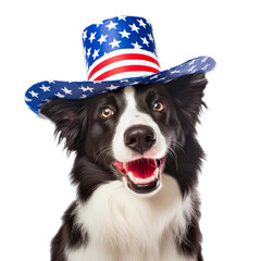 Border Collie American Flag - 3