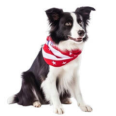 Border Collie American Flag - 1