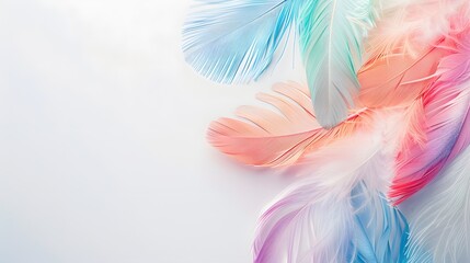 pastel feather abstract background texture