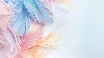 pastel feather abstract background texture