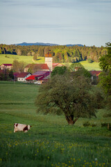 Les Fourgs, plateau du haut Doubs