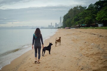 asian women walking dog on the beach in the morning