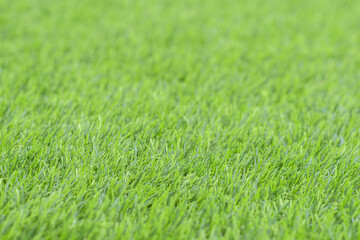 Artificial green grass