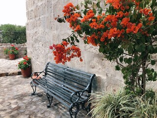 [Peru] The bench in Monastery of Santa Catalina de Siena (Arequipa)