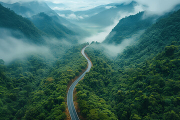 A winding road in the middle of a forest with a misty, cloudy sky above. The road is surrounded by trees and the mist adds to the serene atmosphere