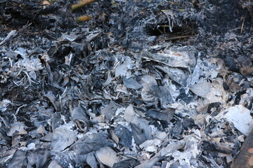 Background texture of ash left over from burning leaves and tree twigs
