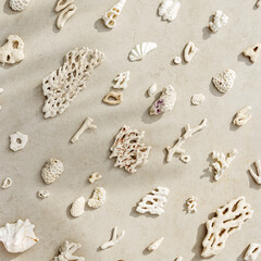 Trend pattern from seashells and coral on sandy tones background. Minimal card at sunlight. Summer vacation concept, beach mood. Nautical design. Top view nature aesthetics still life composition