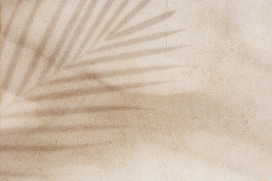 Summer minimal style background with shadow from natural palm leaf on light beige concrete background, hard light, copy space. Pastel colored aesthetic photo with palm shadows at sunlight.