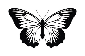 Black monochrome Butterfly Silhouettes Vector art