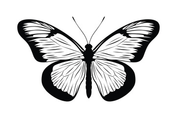 Black monochrome Butterfly Silhouettes Vector art