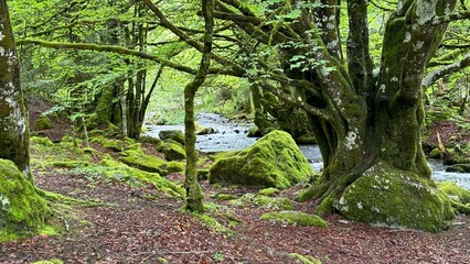La Courbi&egrave;re  en Ari&egrave;ge