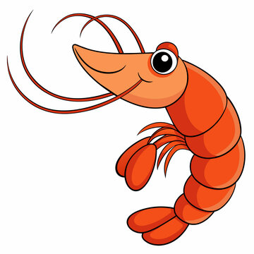 orange cartoon shrimp on white background clip art preview