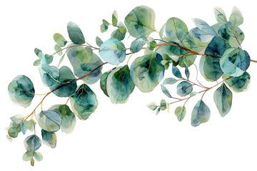leaves isolated on white background
