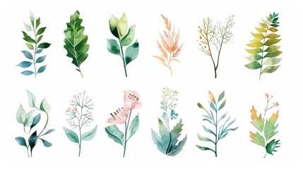 Fototapeta premium A series of 12 artistic plant icons featuring watercolor-style designs of diverse plants, creating a blend of natural beauty and artistic expression on a white background