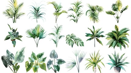 A series of 12 artistic plant icons featuring watercolor-style designs of diverse plants, creating a blend of natural beauty and artistic expression on a white background