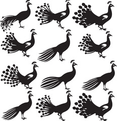Set of Peacock black silhouette