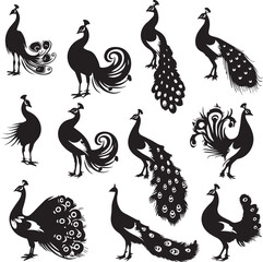 Set of Peacock black silhouette