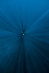 Ray of the sun in the sea