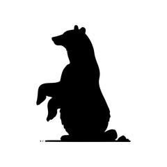 Vector silhouette of a bear in various poses. simple design