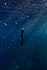 Freediver in the sea