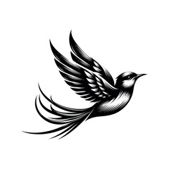Fototapeta premium bird Free Vector and bird Illustration,
