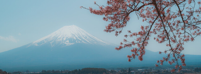 Landscape Mount Fuji in spring season with cherry tree in full bloom,at Lake kawaguchiko in japan.	
