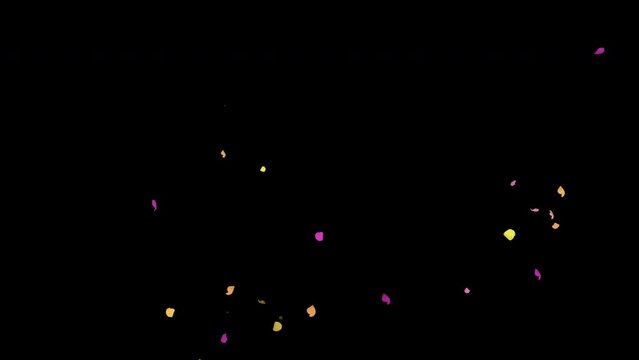 カラフルな花びらが舞うエフェクト動画