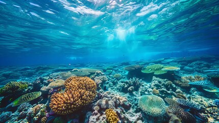 Fototapeta premium Snorkeling Exploration Dive beneath the surface of the crystal-clear underwater landscape