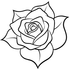 Set of hand drawn rose vector.