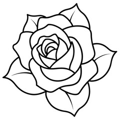 Set of hand drawn rose vector.