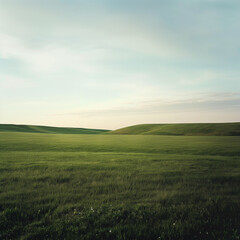 Obraz premium there is a lone horse standing in a large open field