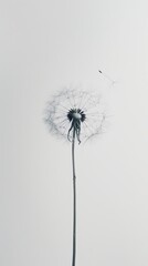 Minimalist image of lone dandelion seed symbolizing hope, resilience, and dream potential