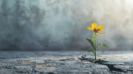 Symbol of hope. resilient flower emerging from concrete crack in conceptual image