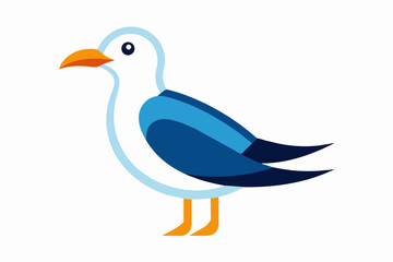 seagull bird vector illustration
