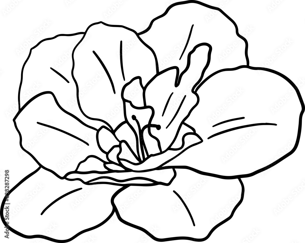 Canvas Prints hand drawn azalea flolwer