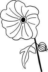 Hand drawn hollyhock flower
