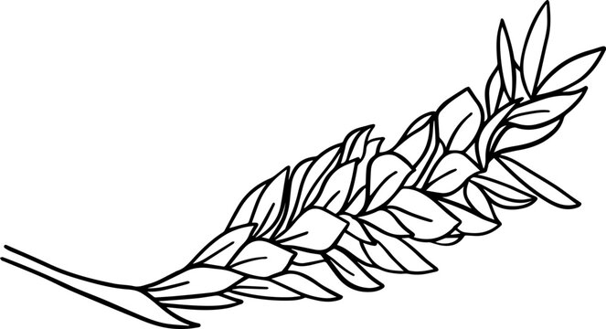 Hand drawn red ginger flower
