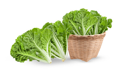 lettuce in basket isolated on white background