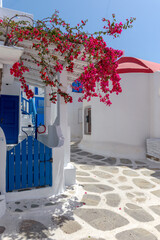 Traditional Cycladitic alley with a narrow street with a full blooming bougainvillea in Mykonos island, cyclades, Greece