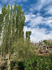 Tibet or Tibetan monastery, culture, belief, people, mountain, stupa, landscape in Ladakh, northern India, Himalaya mountain range, giantic and immense mountain, roof of the world 