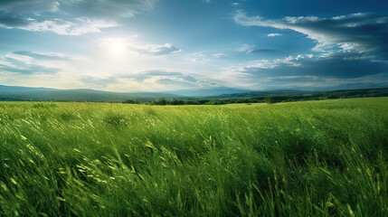 Obraz premium Sunshine and Greenery Backgrounds: Field of Dreams 