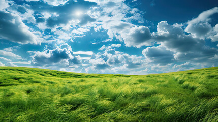 Obraz premium Sunny Green Field Background: Radiant Meadows
