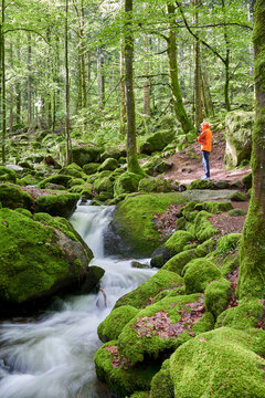 A person in an orange jacket stands amidst a lush, green forest with moss-covered rocks and a small stream flowing through. Europe, Germany, Black Forest, Buhlertal, Gertelbach.