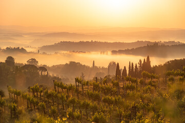 Medieval San Gimignano hill town with skyline of medieval towers, including the stone Torre Grossa....